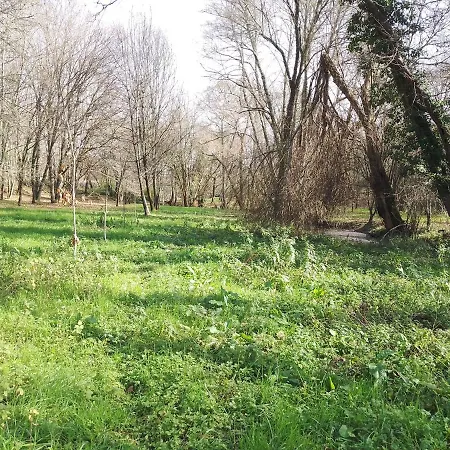 Q.ta Moinhos Da Ponte *