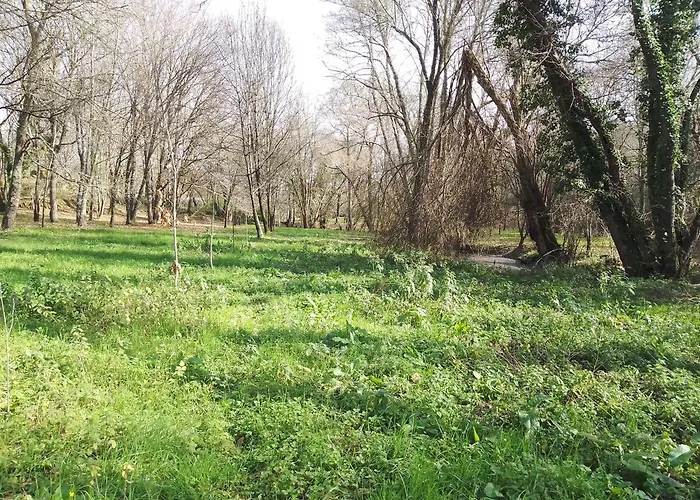 Q.ta Moinhos Da Ponte *